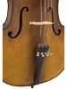 Віолончель Maxtone CVC101 3/4