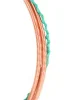 Струни Alice A616L Acoustic Copper Light 40-95