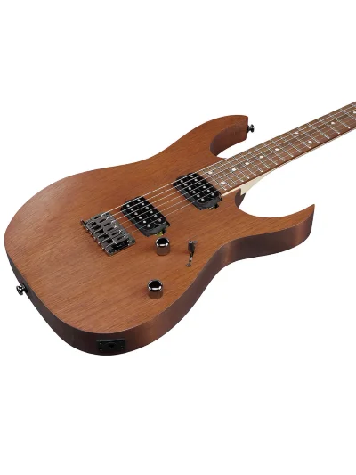 Електрогітара Ibanez RG421 MOL