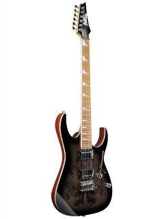Ibanez GRG220PA1-BKB