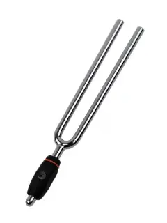D'Addario PWTF-A Tuning Fork (A)