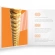 Струни D'Addario XSABR1047 XS 80/20 Bronze Extra Light 10-47 Струни D'Addario XSABR1047 XS 80/20 Bronze Extra Light 10-47