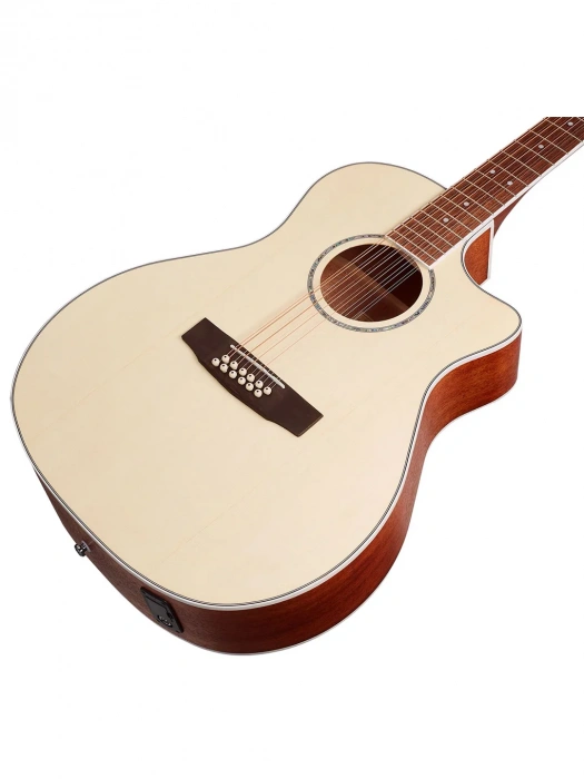 Cort GA-MEDX-12 (Open Pore)