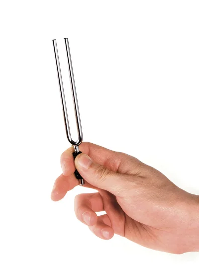 Камертон D'Addario PWTF-E Tuning Fork (E)