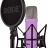 RODE NT1 Signature Purple