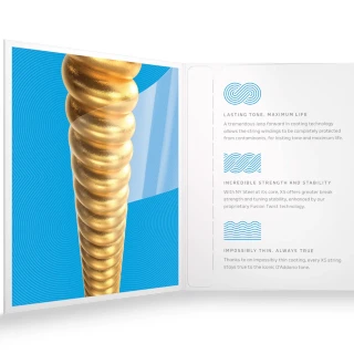 D'Addario XSABR1253 XS 80/20 Bronze Light 12-53