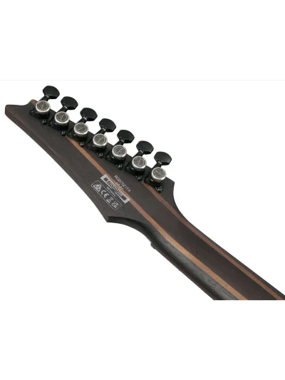Електрогітара Ibanez RGD721FA-WUF