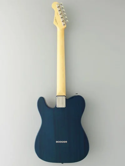 Напівакустична гітара FGN NTE110MMHT-TBL Neo Classic (Transparent Blue)