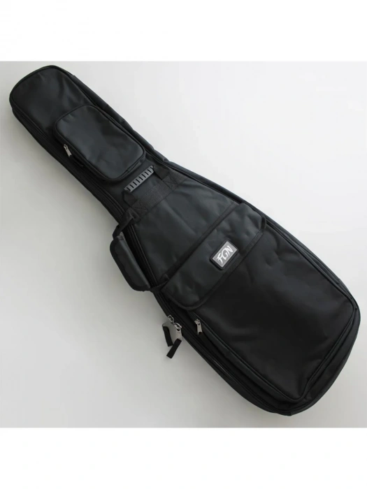 Електрогітара Електрогітара FGN NTE210RAH-2TS Neo Classic (2Tone Sunburst)