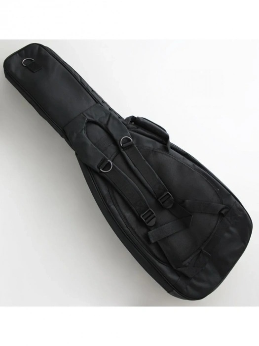 Електрогітара Електрогітара FGN NTE210RAH-2TS Neo Classic (2Tone Sunburst)