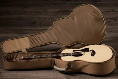 Акустична гітара Taylor Guitars GS Mini Sapele