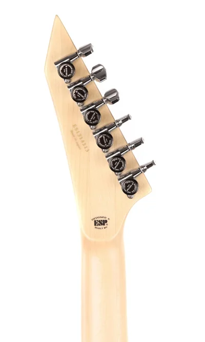Електрогітара ESP E-II ALEXI Ripped