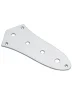 Контрольна панель Paxphil HC002 CR JB-Style Control Plate (Chrome)