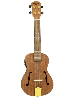 Fzone FZU-31MEQ Concert