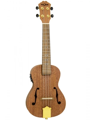 Fzone FZU-31MEQ Concert