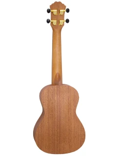 Fzone FZU-31MEQ Concert