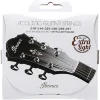 Струни Ibanez IACS6C Acoustic Guitar String 12-53