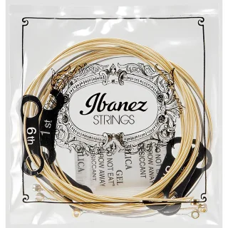 Ibanez IACS6C Acoustic Guitar String 12-53