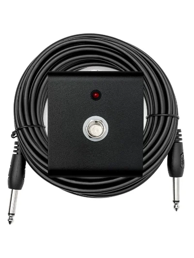 Гітарний підсилювач Friedman JEL-20 Head