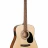 Cort AD810E (Open Pore)