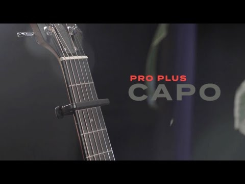 Каподастр Каподастр D'Addario PW-CP-19 Pro Plus Capo (Black)