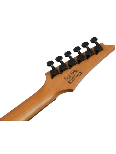 Електрогітара Ibanez GRGR221FA-TDK