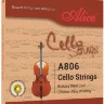 Alice A806