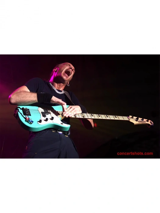 Dimarzio DP145BK Will Power Neck (Black)