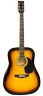 Акустична гітара Maxtone WGC4010 (SB)