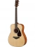 Акустична гітара Yamaha FG800M (Natural)