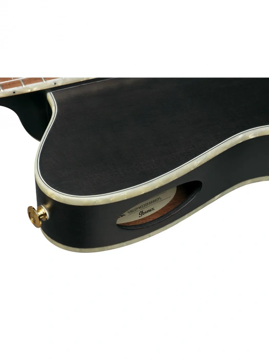 Класична гітара зі звукознімачем Класична гітара зі звукознімачем Ibanez TOD10N-TKF