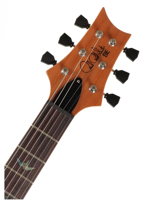 PRS SE Paul's Guitar (Faded Blue Burst)