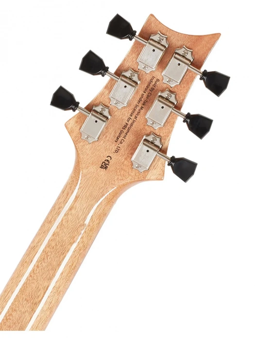 PRS SE Paul's Guitar (Faded Blue Burst)