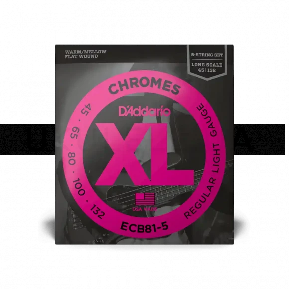 Струны D'Addario ECB81-5 XL Chromes Bass Regular Light 5-String (45-132)