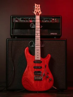 PRS Fiore (Pearl White) #0421678