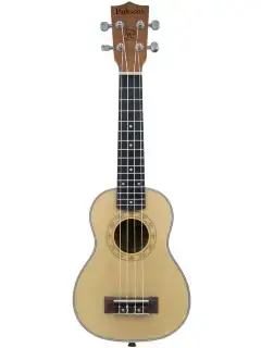 Parksons UK21C