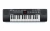 Синтезатор Alesis Harmony 32