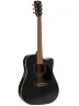 Електро-акустична гітара Cort AD880CE (Black)