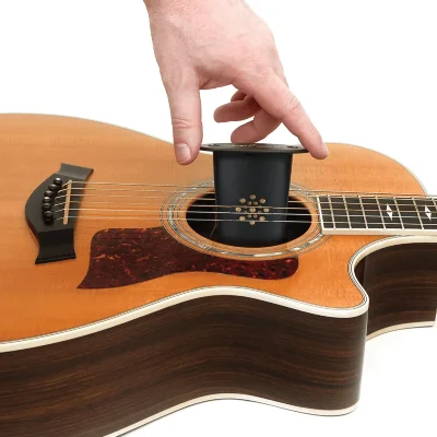 Зволожувач D'Addario GH Acoustic Guitar Soundhole Humidifier