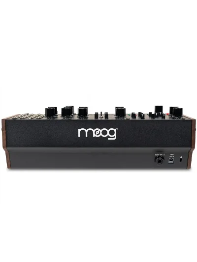Синтезатор Moog Labyrinth