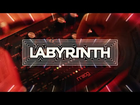 Синтезатор Синтезатор Moog Labyrinth