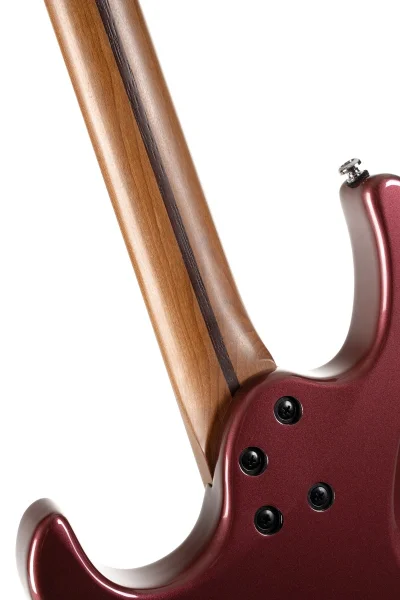Електрогітара Cort G250 SE (Vivid Burgundy)