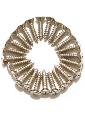 Dimarzio FH1000C Pickguard / Backplate Screws - Set of 24 (Chrome)