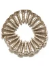 Шуруп Dimarzio FH1000C Pickguard / Backplate Screws - Set of 24 (Chrome)