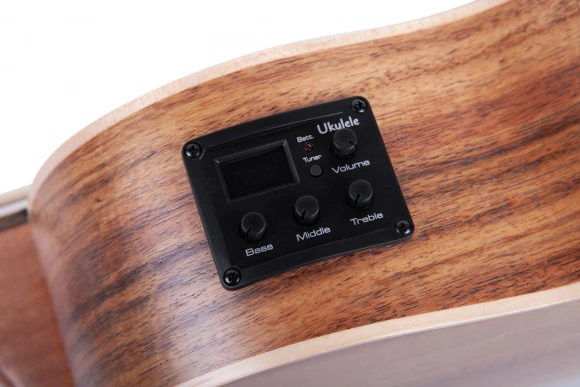Электроакустическое укулеле Fzone FZUB-004 Bass Ukulele Электроакустическое укулеле Fzone FZUB-004 Bass Ukulele