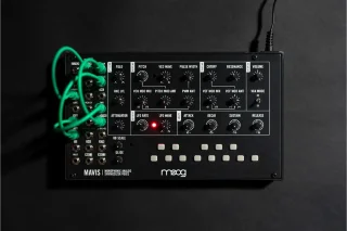 Moog Mavis