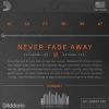 Струни D'Addario XTABR1047 XT 80/20 Bronze Extra Light 10-47