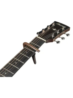 Ibanez IGC10W