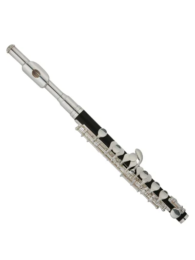 Флейта Maxtone TPC-60/S