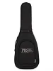 Електрогітара PRS Fiore (Black Iris)
